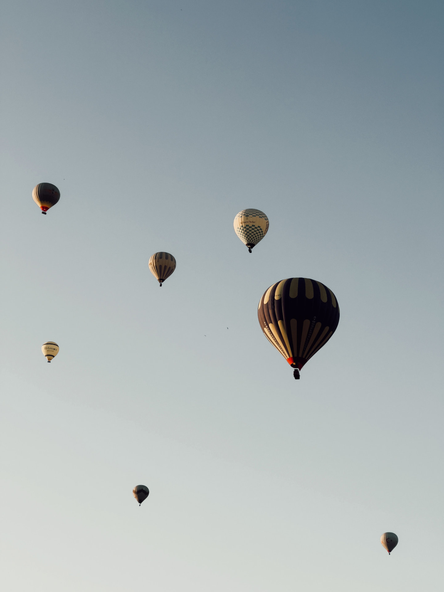 Hot air balloons drifting over the desert at dawn near Marrakech